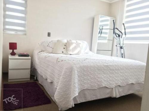 a bedroom with a white bed and a mirror at Apartamento hogareño in Santiago
