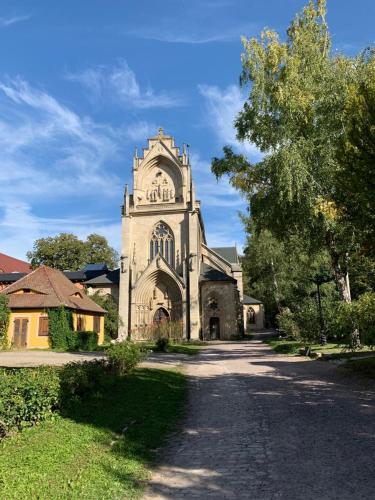 an old building with a tree in front of it at Hotel garni Zum Rebstock in Naumburg