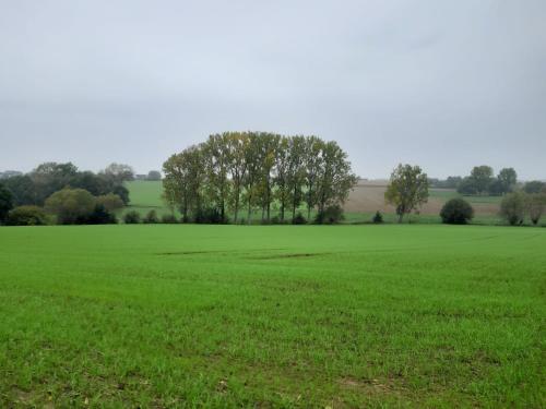a large green field with trees in the distance at Villa de la Sablière in Amougies