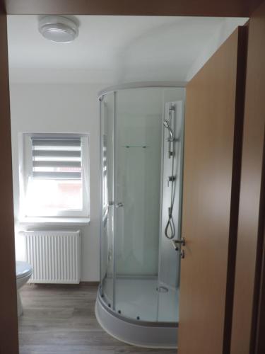 y baño con ducha de cristal y ventana. en sommer-zimmervermietung en Magdeburgo
