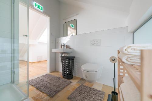 a bathroom with a shower and a sink and a toilet at Penthouse MaxFux direkt in der Fußgängerzone 130m2 in Krems an der Donau