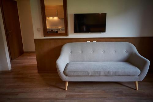 a couch in a living room with a tv at Appartements Christine in Maishofen