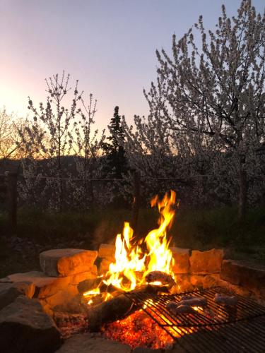 Galería fotográfica de Agriturismo Il Covo del Solengo en Valtopina