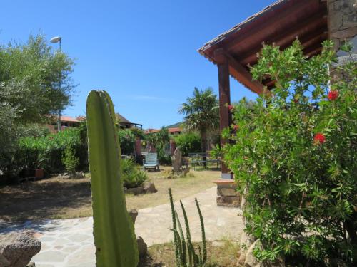 a cactus in the garden of a house at Iocchedda in Porto Ottiolu