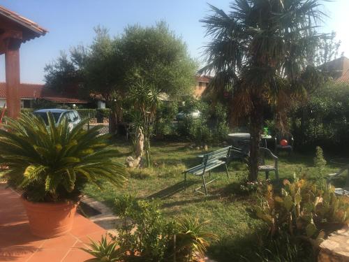 a park bench in a yard with palm trees at Iocchedda in Porto Ottiolu