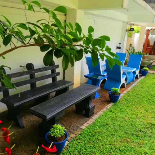 a black bench and two blue chairs and plants at Elliot Nature Resort in Galle