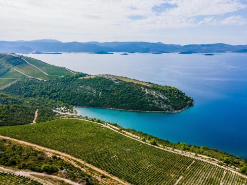 Villa Dragobratović – Photos 5