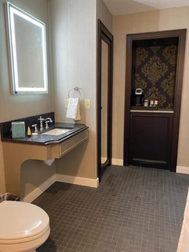 a bathroom with a toilet a sink and a mirror at Place D'Armes Hotel in New Orleans
