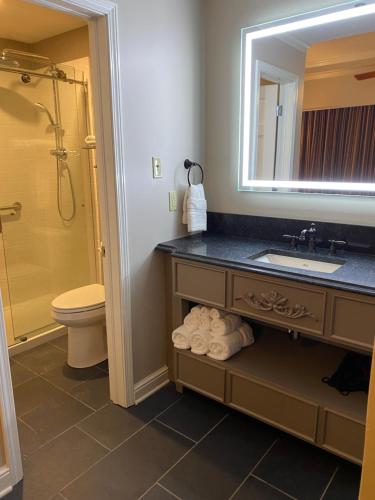 a bathroom with a toilet a sink and a shower at Place D'Armes Hotel in New Orleans