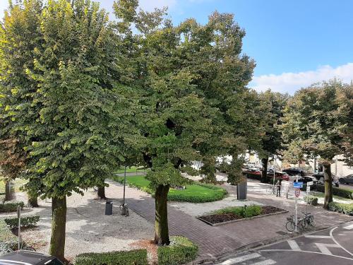 a tree in the middle of a park at Affittacamere Stazione Empoli in Empoli