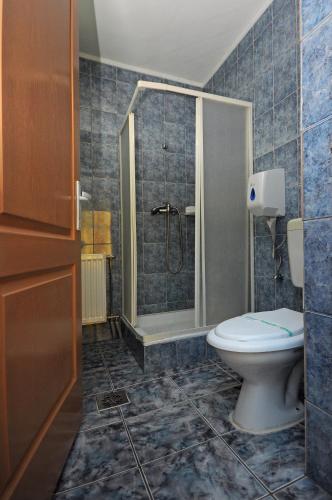a bathroom with a toilet and a shower at Imola Motel in Gheorgheni
