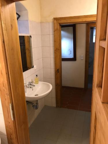 ein Bad mit einem Waschbecken und einem Spiegel in der Unterkunft Heuhof-Breitau Heulager in Sontra