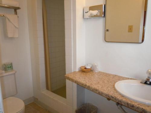 a bathroom with a shower and a sink and a toilet at Value Inn in Fallon