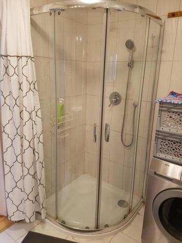 a shower with a glass door next to a washing machine at Családi haz in Budapest