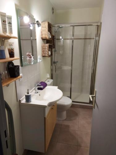 a bathroom with a shower and a sink and a toilet at Appartement 50m du Lac in Gérardmer