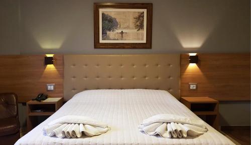 1 dormitorio con 1 cama con 2 almohadas en Hotel Beira Parque, en São Lourenço