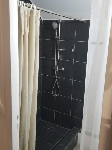 La salle de bains est pourvue d'une douche avec rideau de douche. dans l'établissement CHILL SPOT avec vue sur lagon - with a lagoon view SXM, à Marigot