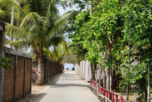 a street with palm trees and a fence at Watukarung Sackstone Guesthouse in Kalak