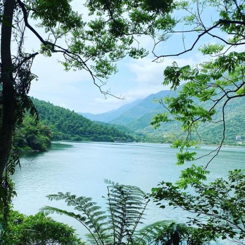 a view of a river through the trees at Lakeside 46 in Chinan