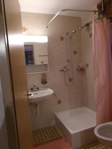 y baño con lavabo, ducha y aseo. en Gemmi apartment Inden Leukerbad en Inden
