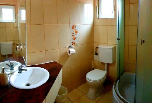 a bathroom with a sink and a toilet and a shower at Vila Maya in Băile Tuşnad