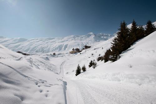 a snow covered slope with trees and a mountain at Hamilton Lodge & Spa in Belalp