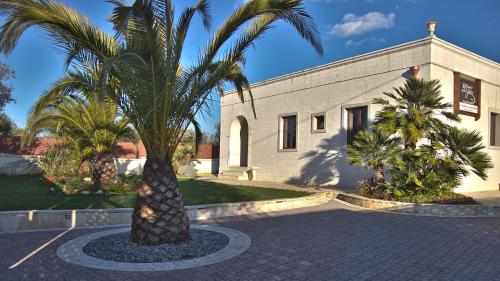 a palm tree in front of a building at Rifugio Delle Grotte in Castellana Grotte