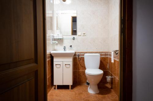 a bathroom with a toilet and a sink and a mirror at Zajazd Tadeo in Pietrzykowice