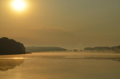a misty river with the sun in the background at Eurocamp Spreewaldtor in Groß Leuthen