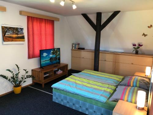 a bedroom with a bed and a flat screen tv at Apartments Mirror in Krásná Lípa