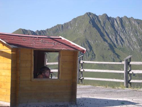 a girl looking out the window of a smallshed at Ferienwohnung Fritz 2 Obergeschoss in Stuhlfelden