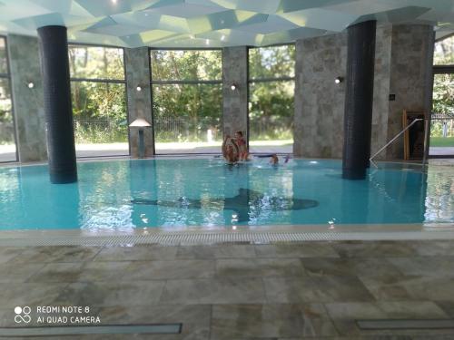 a swimming pool with a dog in the water at Apartament z aneksem, Diune, nr 328, Kołobrzeg, blisko morza in Kołobrzeg