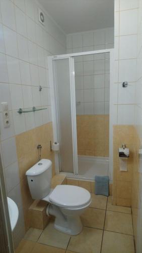 a bathroom with a white toilet and a shower at Miodowy Raj in Targanice