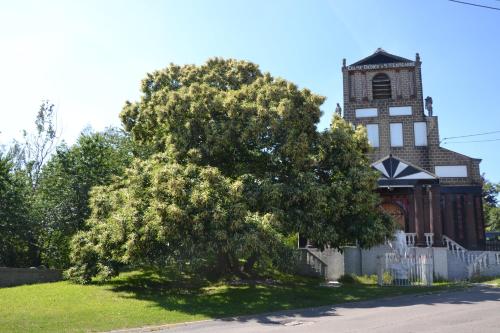 un arbre devant une église avec une tour dans l'établissement La Chapelle de verre, un lieu unique au monde, à Ronquières