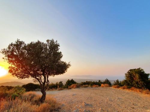 Φυσικό τοπίο κοντά σε αυτό το διαμέρισμα