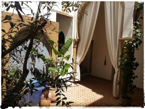 ラバトにあるRiad El Birの家の中の植物とカーテンの廊下