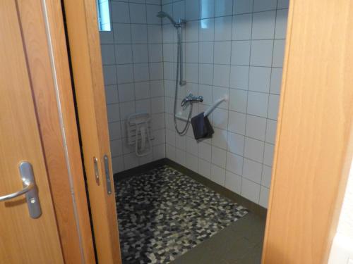 La salle de bains est pourvue d'une douche, de carrelage et d'une porte. dans l'établissement La Saucée, à Ban-sur-Meurthe-Clefcy