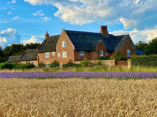 Old Hall Country Breaks في Tilney All Saints: منزل قديم في حقل من الزهور الأرجوانية