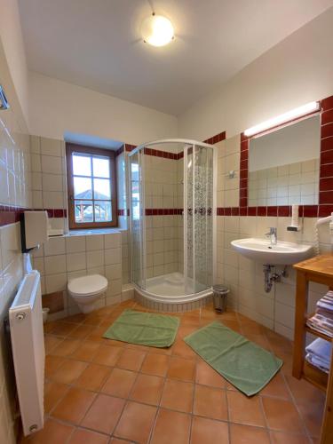 a bathroom with a shower and a toilet and a sink at Kürbishof Gartner in Fehring