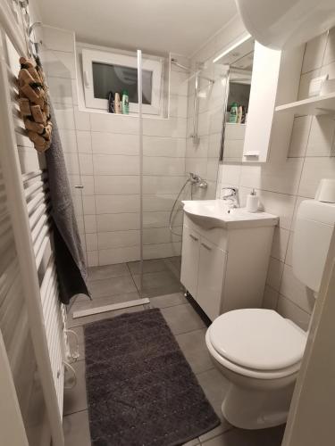 a white bathroom with a toilet and a sink at Počitniška hiša Pavlek in Ivanjkovci