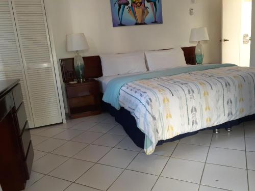 Fotografie z fotogalerie ubytování Zander's Paradise @Mystic (King) v destinaci Ocho Rios