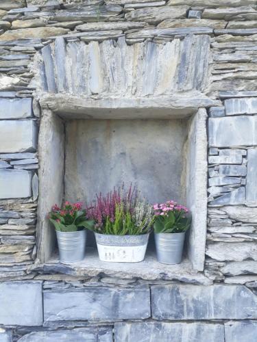 three potted plants sitting on a stone wall at CA' DA TOLLO in Cogorno