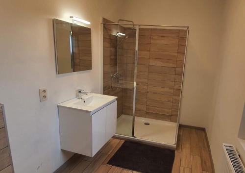 ein Bad mit einer Dusche, einem Waschbecken und einem Spiegel in der Unterkunft LFA La petite maison du coin in Flémalle-Grande