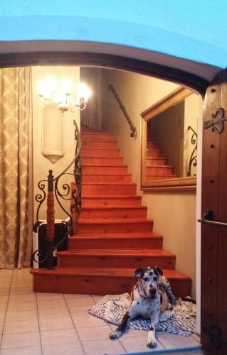 a dog laying on a bed in front of a staircase at Royston Hall Historical Guesthouse in Umtentweni