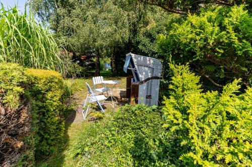 a garden with a chair and a bench and bushes at Strandhaus WOTAN in Kühlungsborn