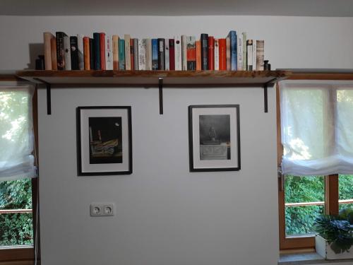 a book shelf on a wall with books at Ferienwohnung Kunst und Kulturschuppen Hasenmühle in Kammerstein