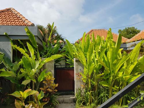 a house with green plants in front of it at Pandawa Beach Homestay in Uluwatu