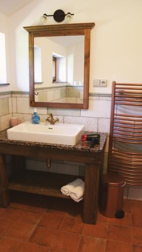 a bathroom with a sink and a mirror at Doubický Venkov in Doubice