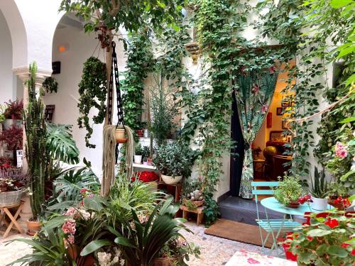 エル・プエルト・デ・サンタマリアにあるCasa de Huéspedes Santa Mariaの鉢植えの植物がたくさん並ぶ部屋