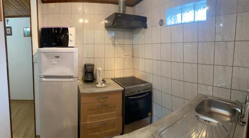 eine kleine Küche mit Kühlschrank und Spüle in der Unterkunft Gite Lammer in Artolsheim